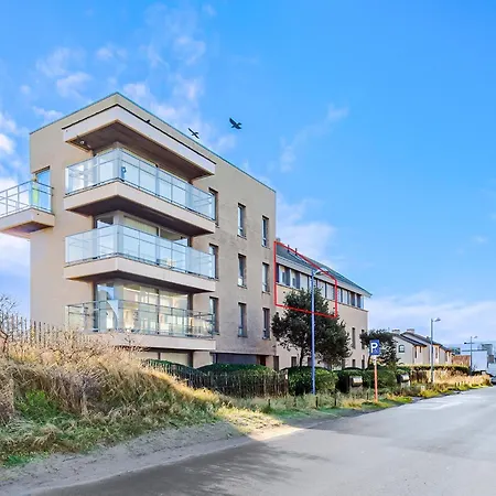 Blauwvoet 0201p * Oostduinkerke