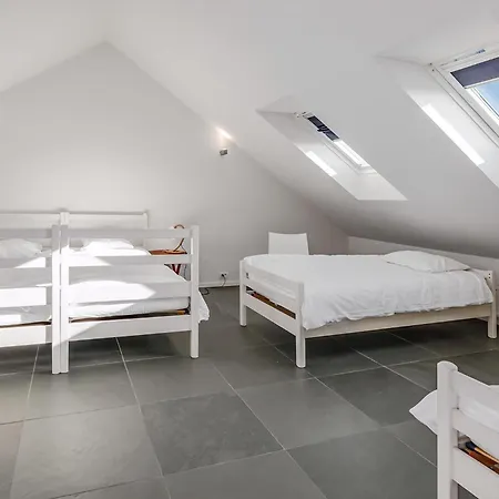 Blauwvoet 50- 0201p *