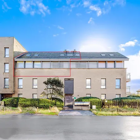 Blauwvoet 50- 0201p شقة